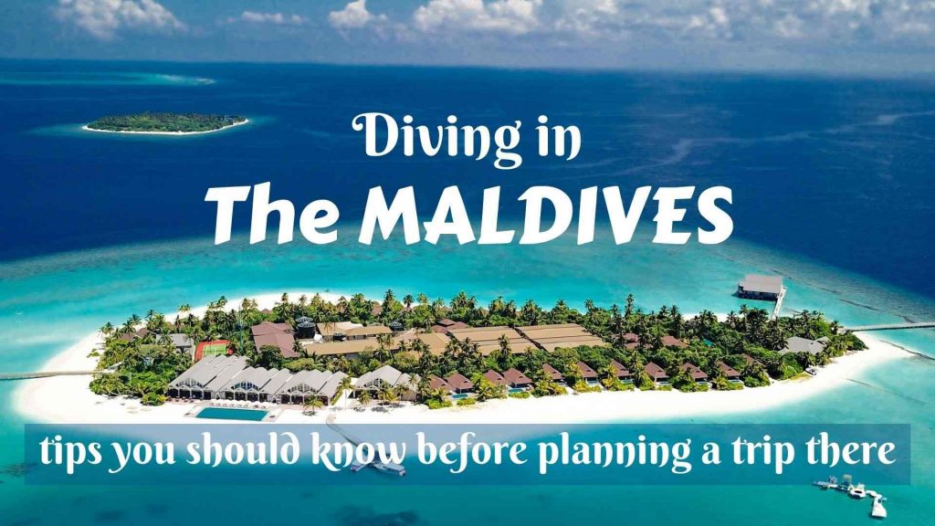 Diving in the Maldives- tips you should know before planning a trip there