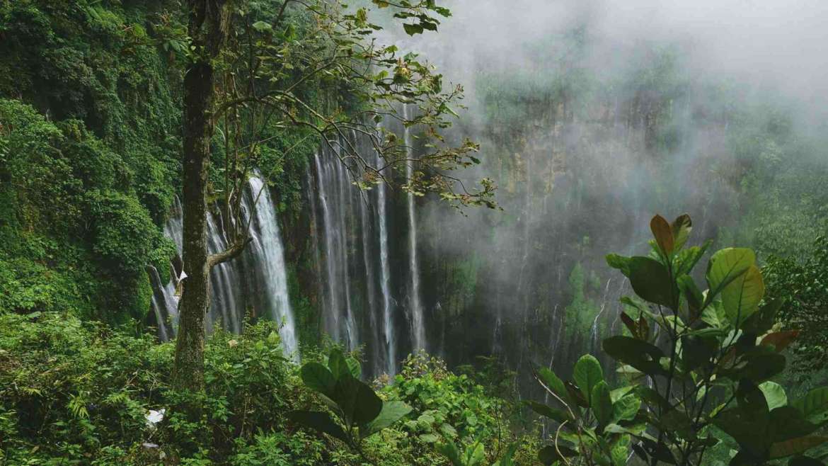 The 10 Most challenging places for traveling, your ultimate travel bucket list- Amazonia