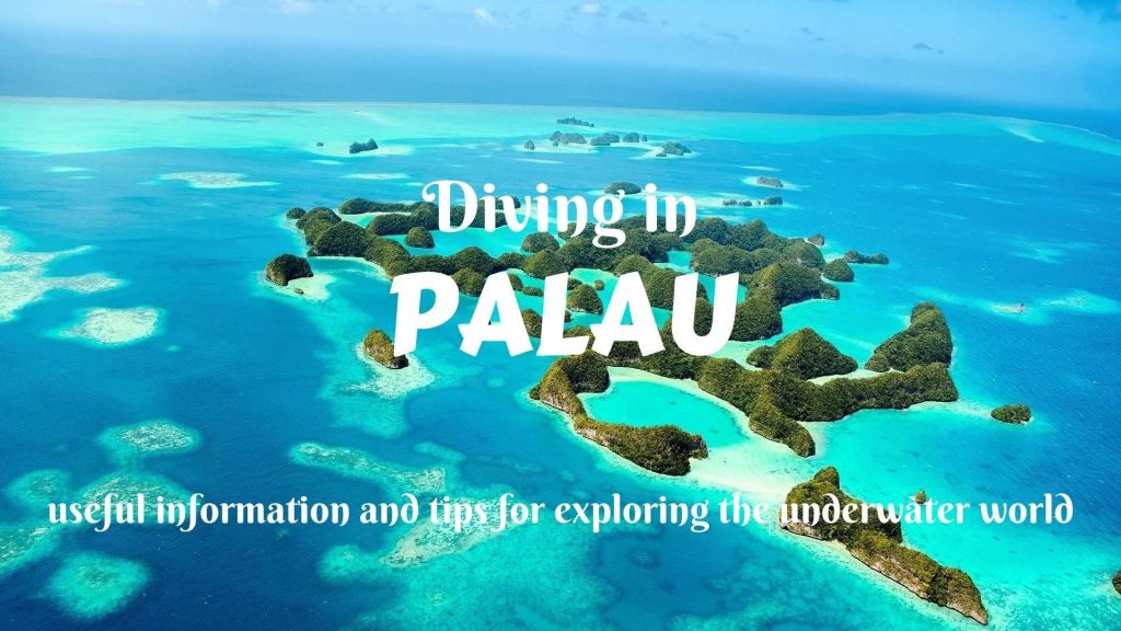 Diving in Palau- useful information and tips for exploring the underwater world