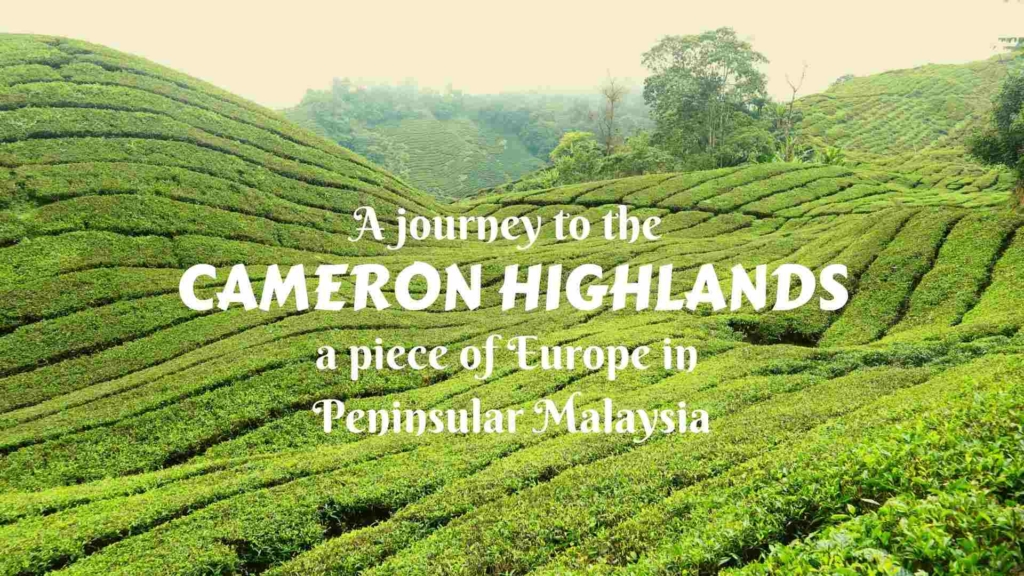 A journey to the Cameron Highlands- a cool piece of Europe in Peninsular Malaysia