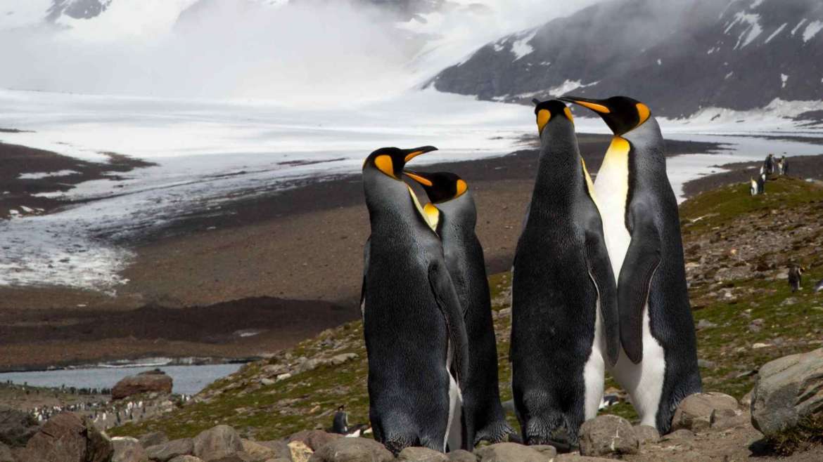 The 10 Most challenging places for traveling, your ultimate travel bucket list- Subantarctic islands