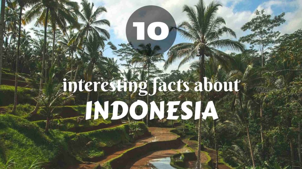 10 Interesting Facts about Indonesia