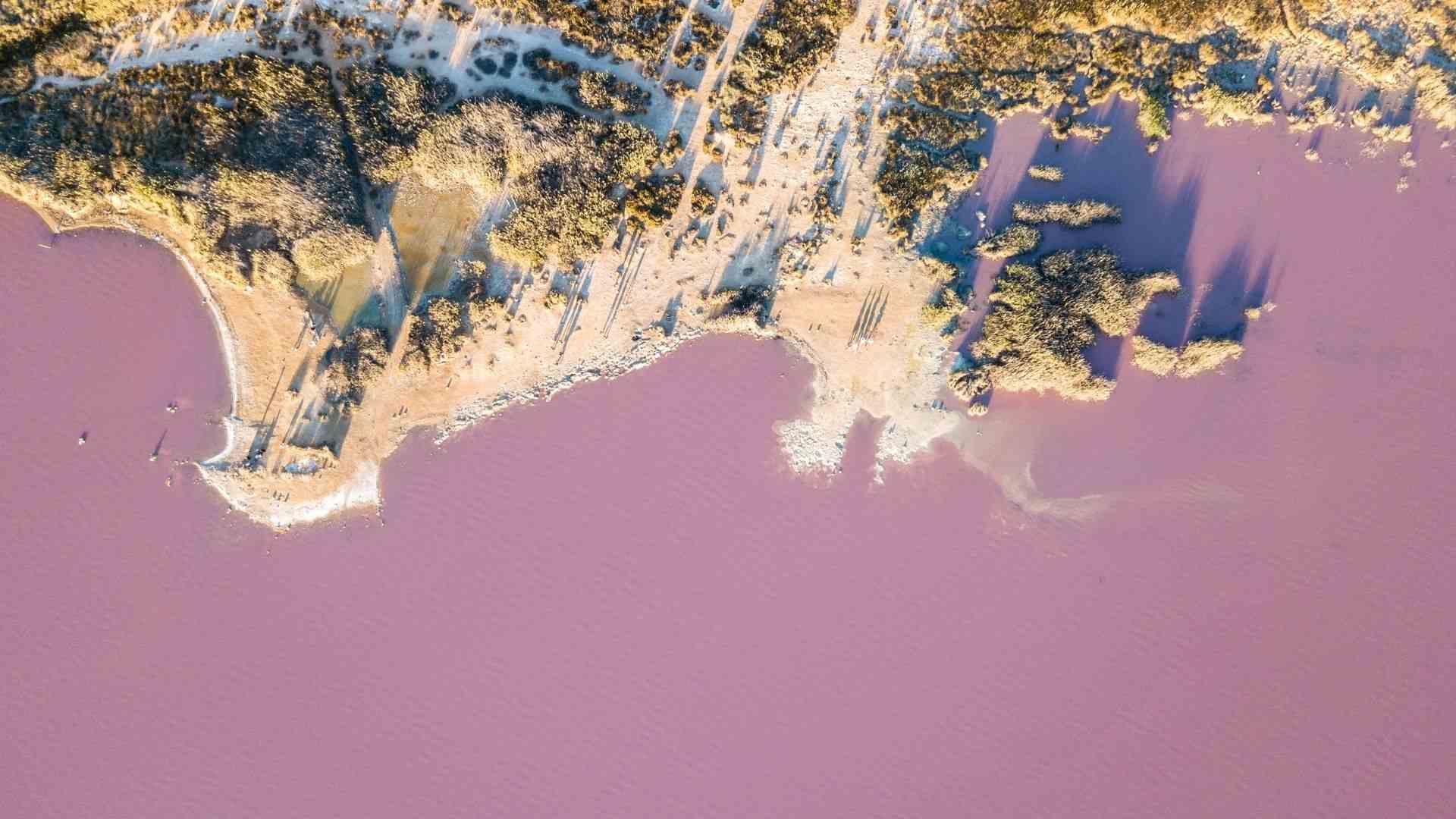 Laguna Rosa
