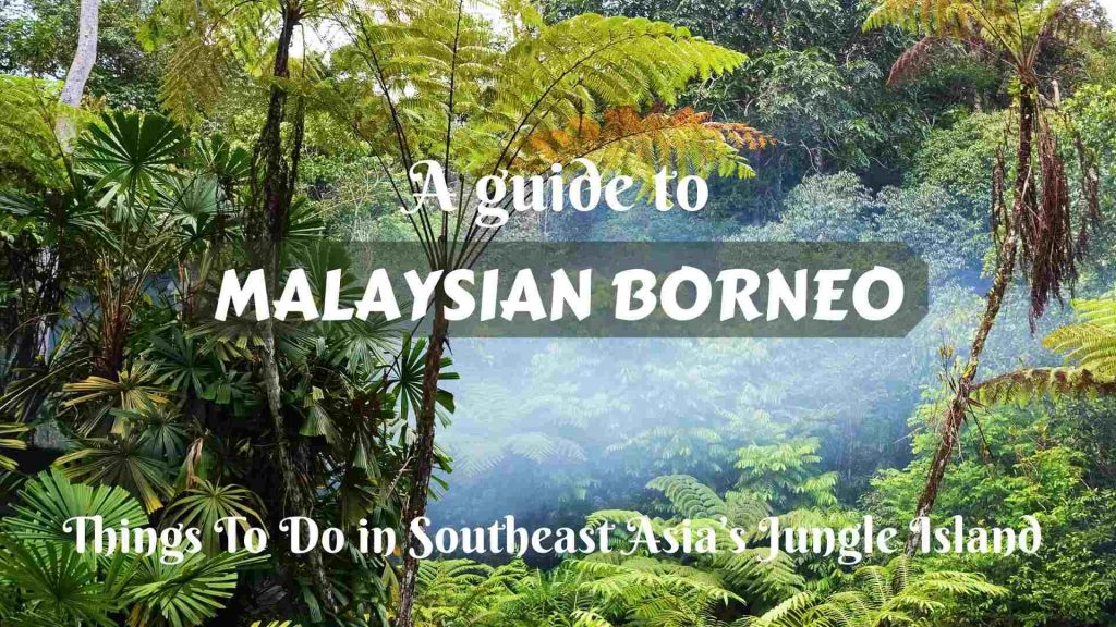 A Guide to Malaysian Borneo: Things To Do in Southeast Asia’s Jungle Island