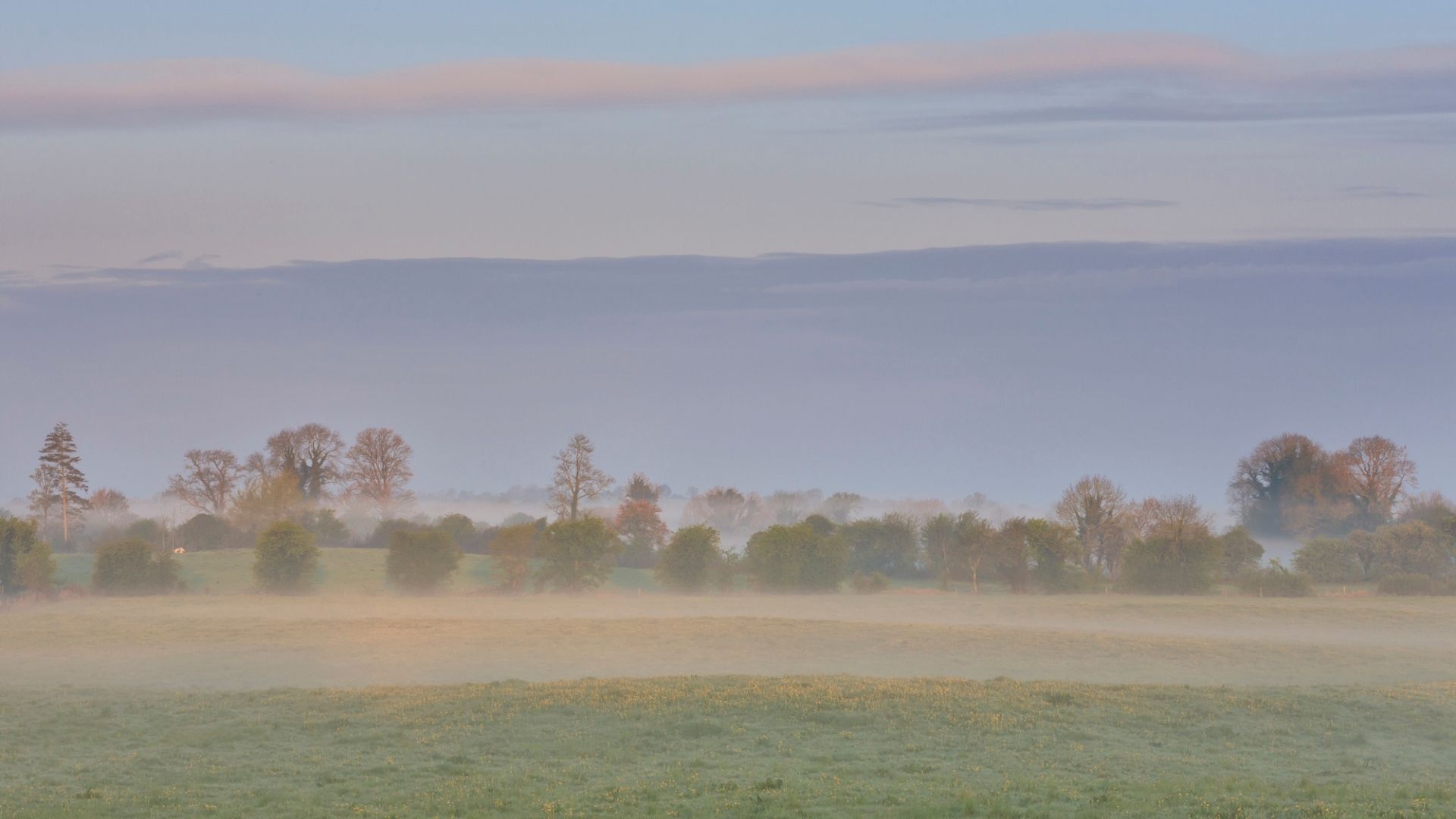 The Midlands