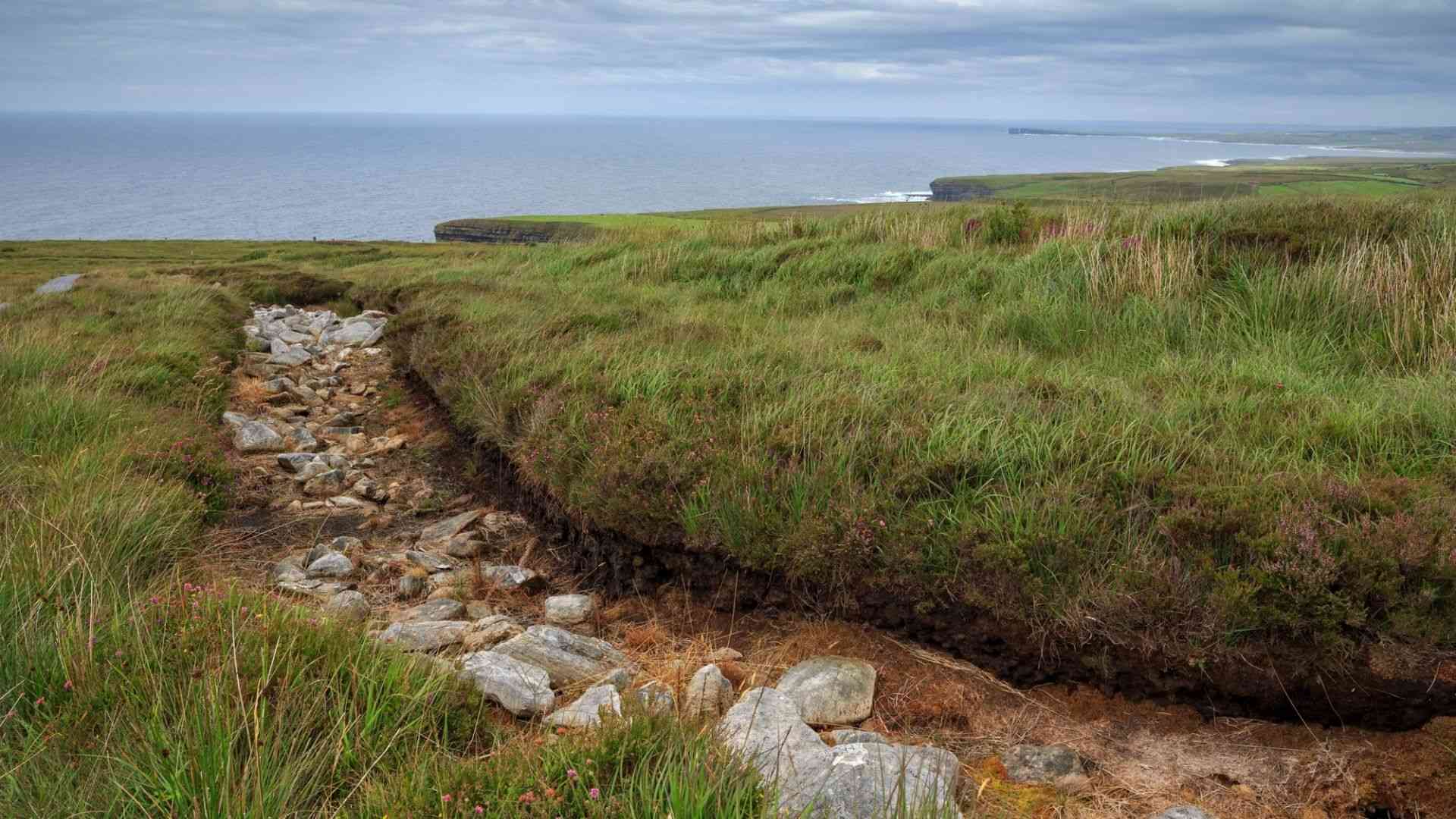 Ceide Fields