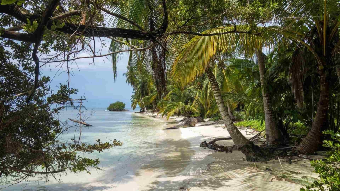 Tropical paradise