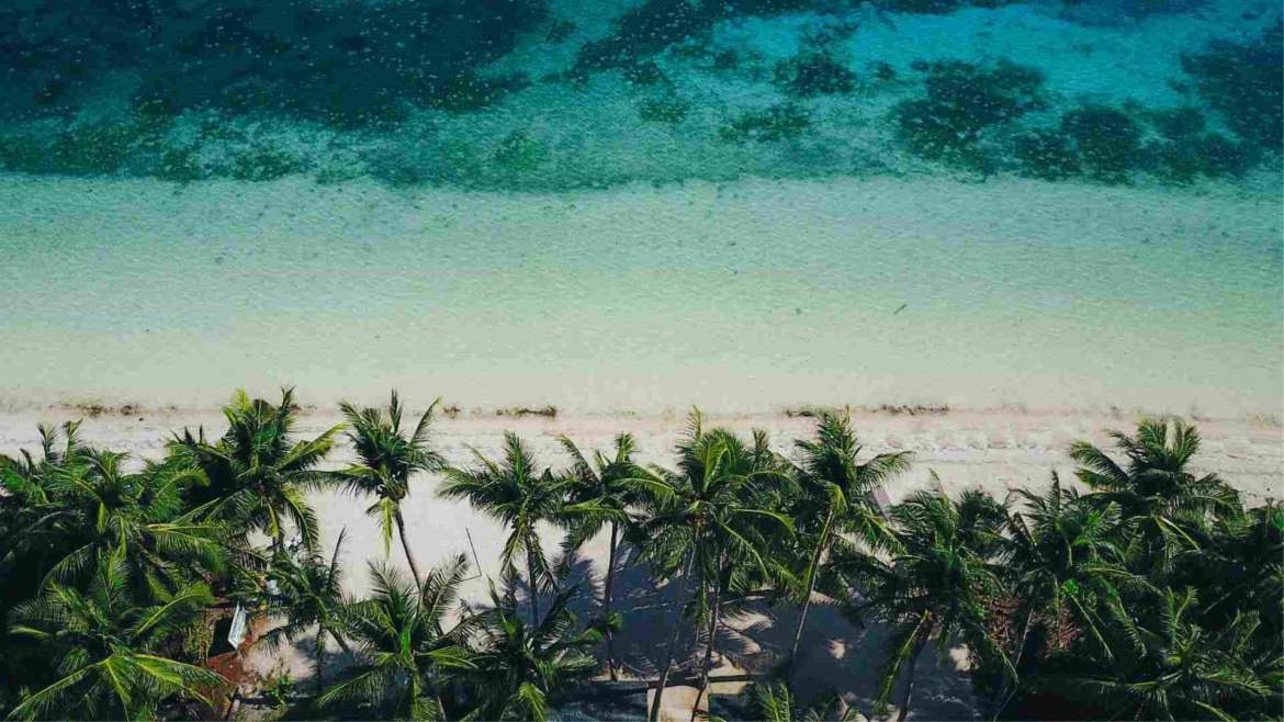 What to do in Siquijor- coconut palm trees and crystal clear water
