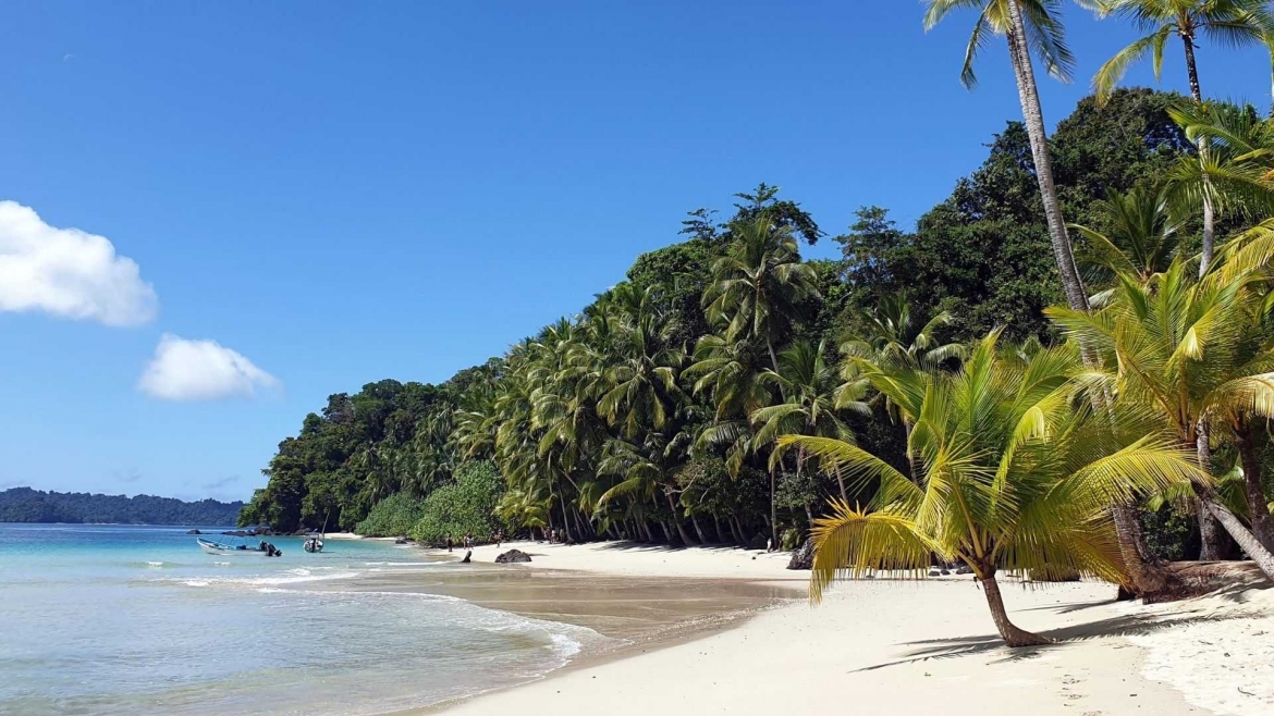 Tropical paradise in Panama