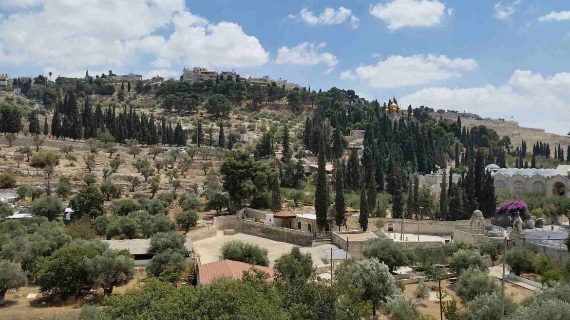 Visit Jerusale, see Mount of Olives and the Garden of Gethsemane