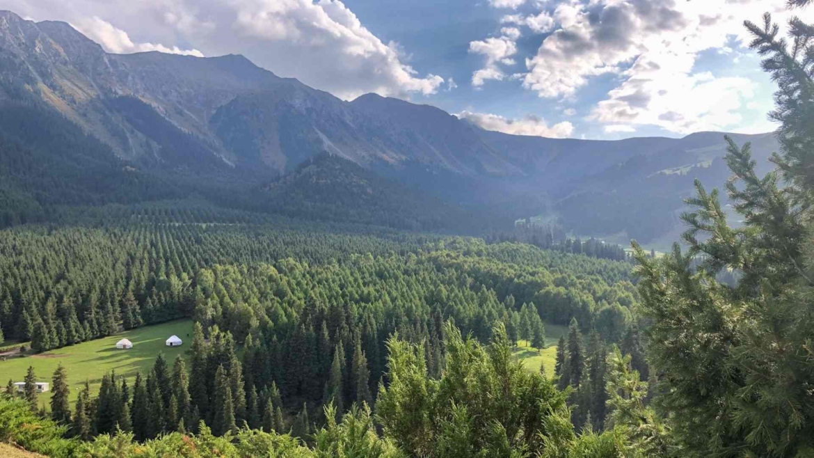 Valley opening up