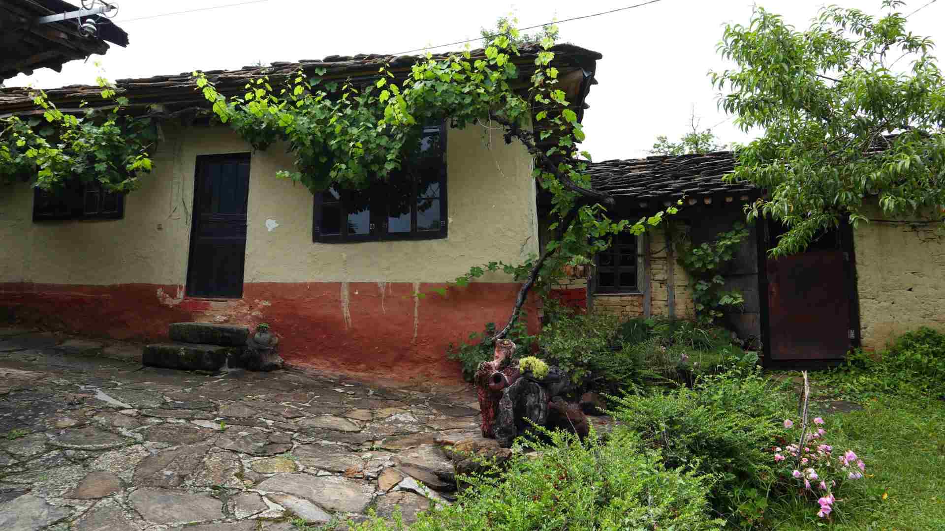 The Clay House
