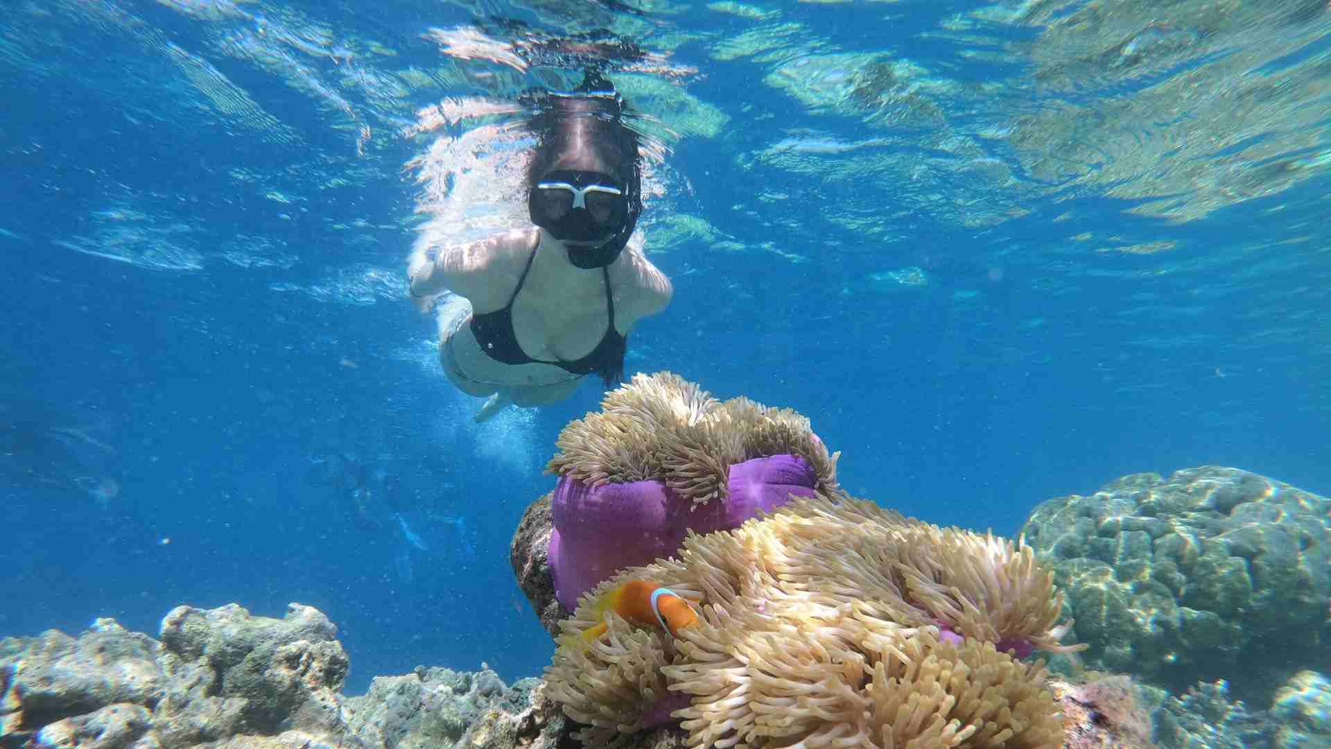 Snorkeling gear