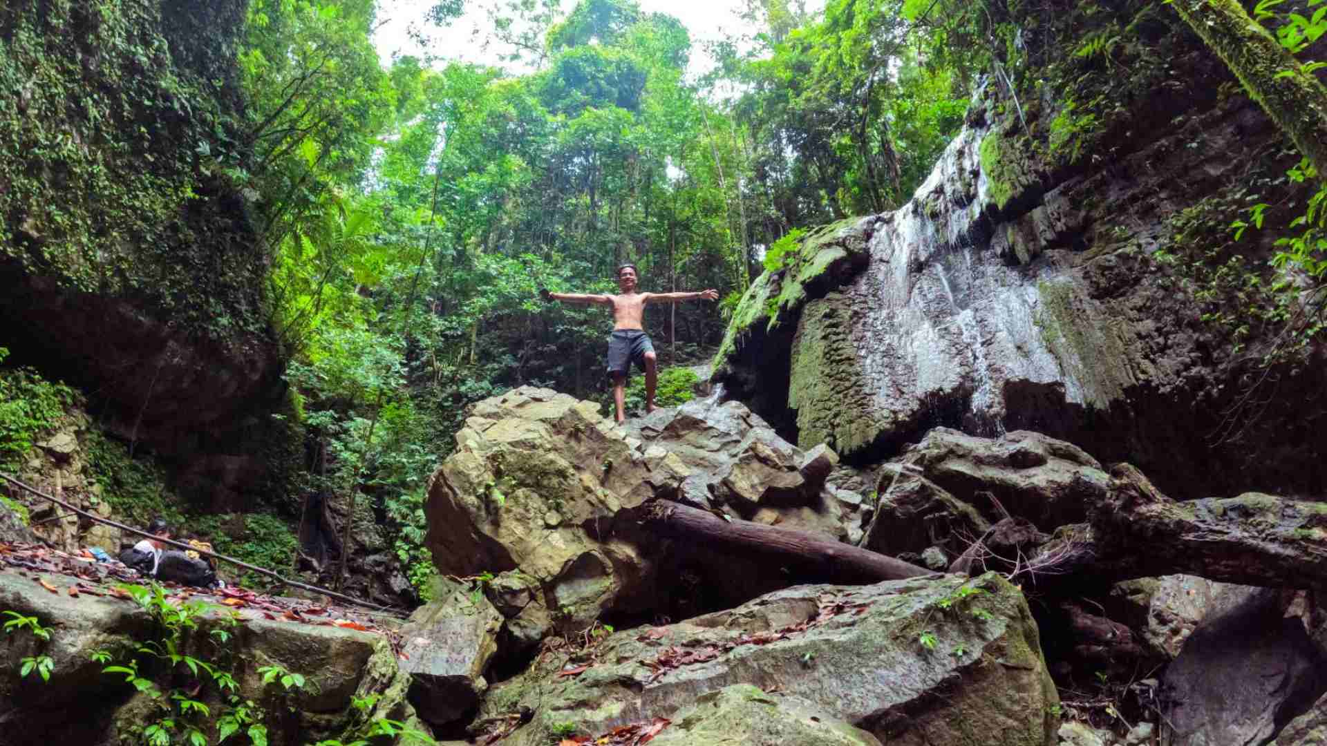 Deep in the jungle