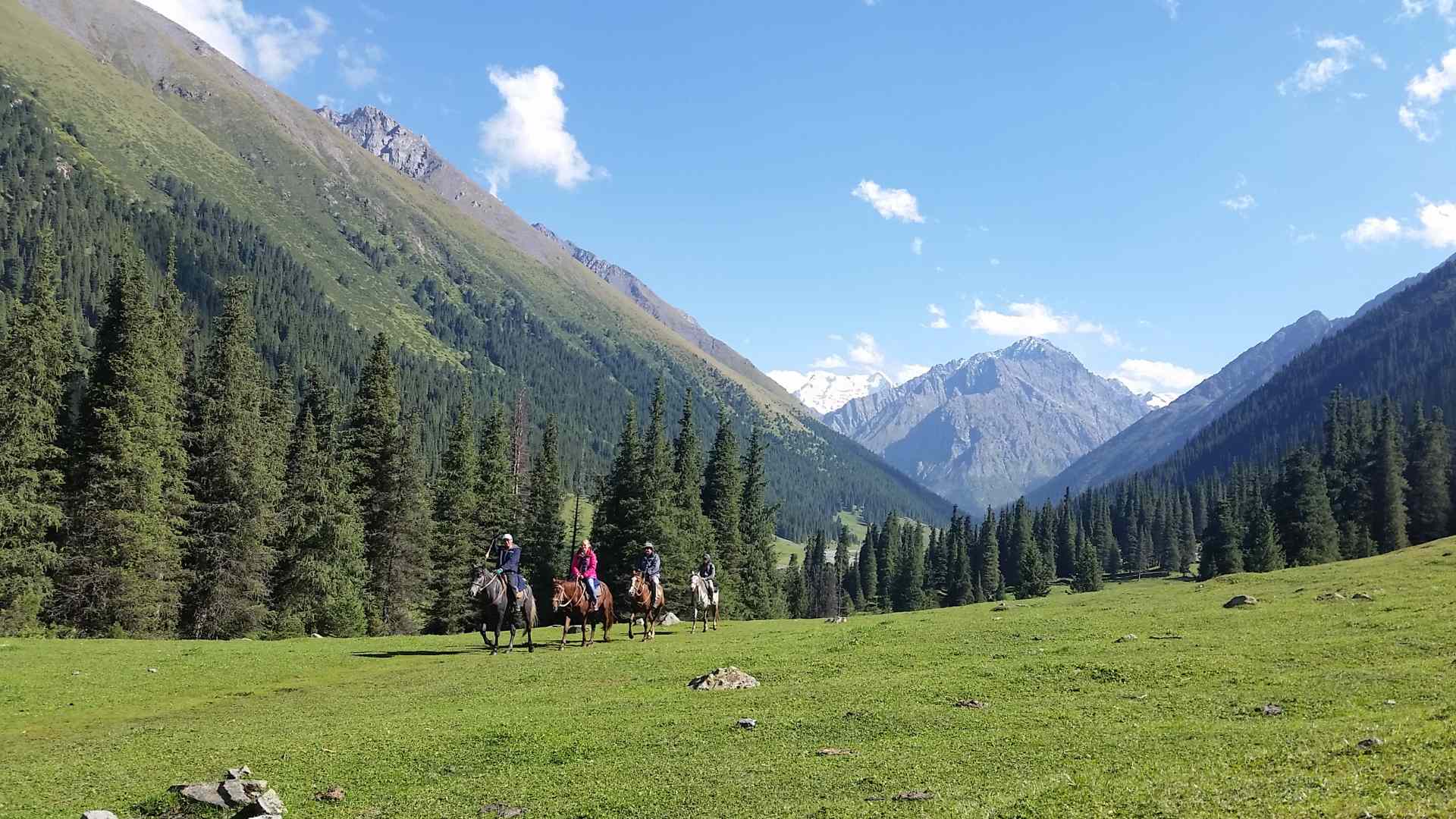 Horse riders