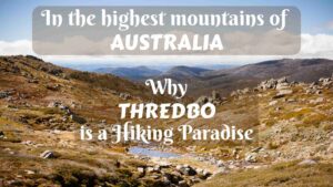 In the highest mountains of Australia: Why Thredbo is a Hiking Paradise