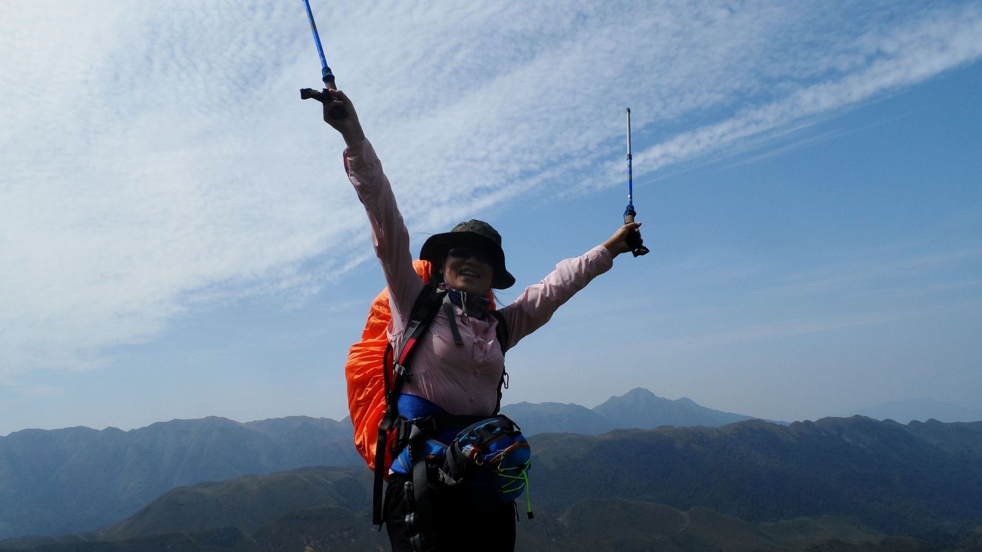Hiking poles