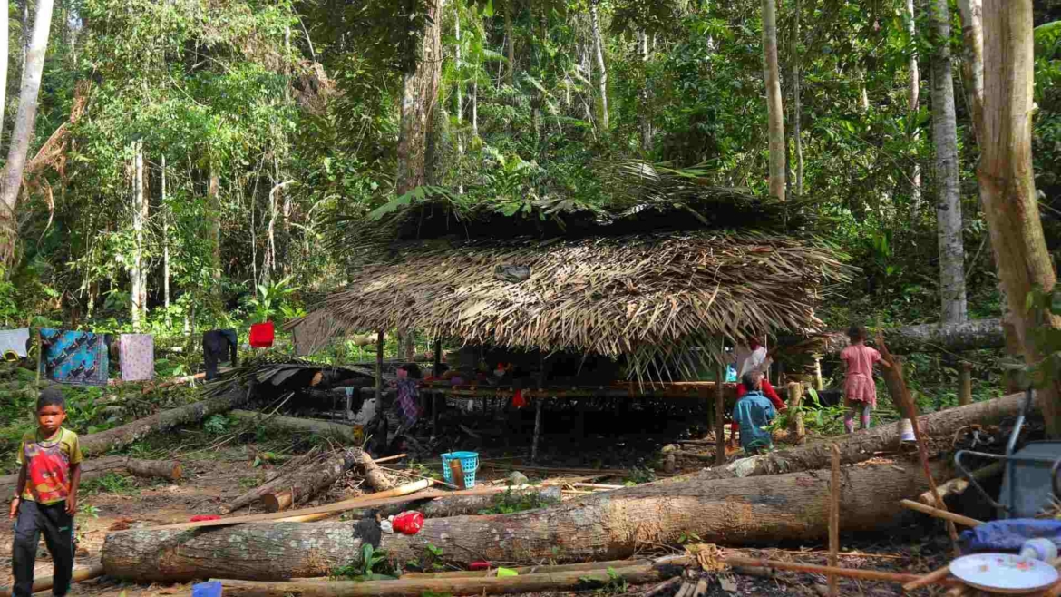 Orang Asli village of the Negritos tribe of Batek