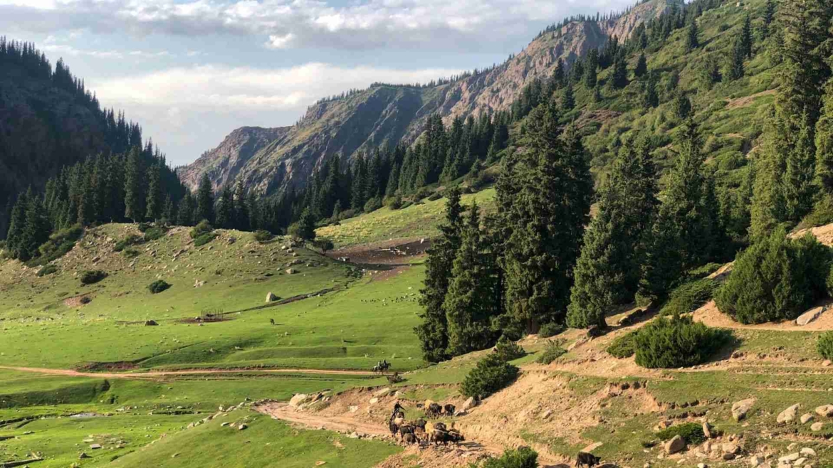 Valley opening up