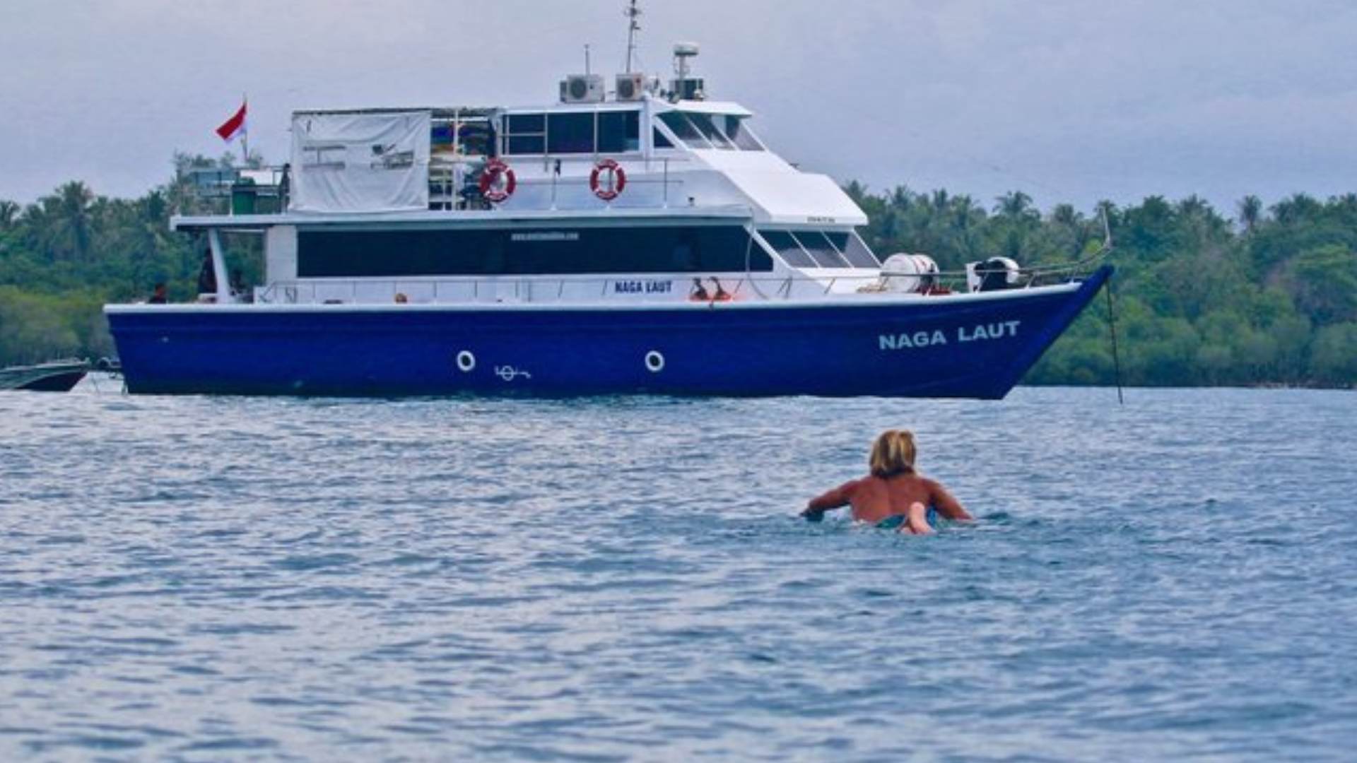 Naga Laut