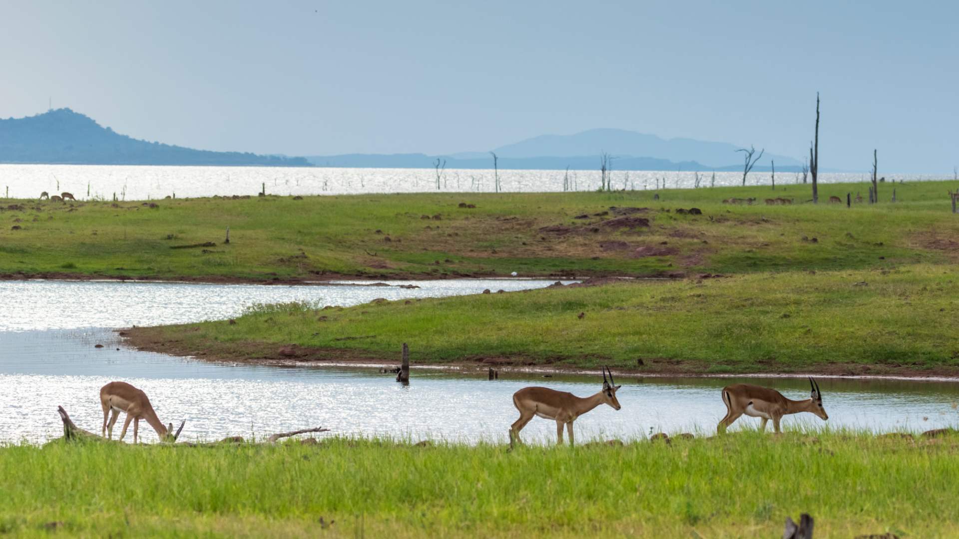 Lake Kariba 