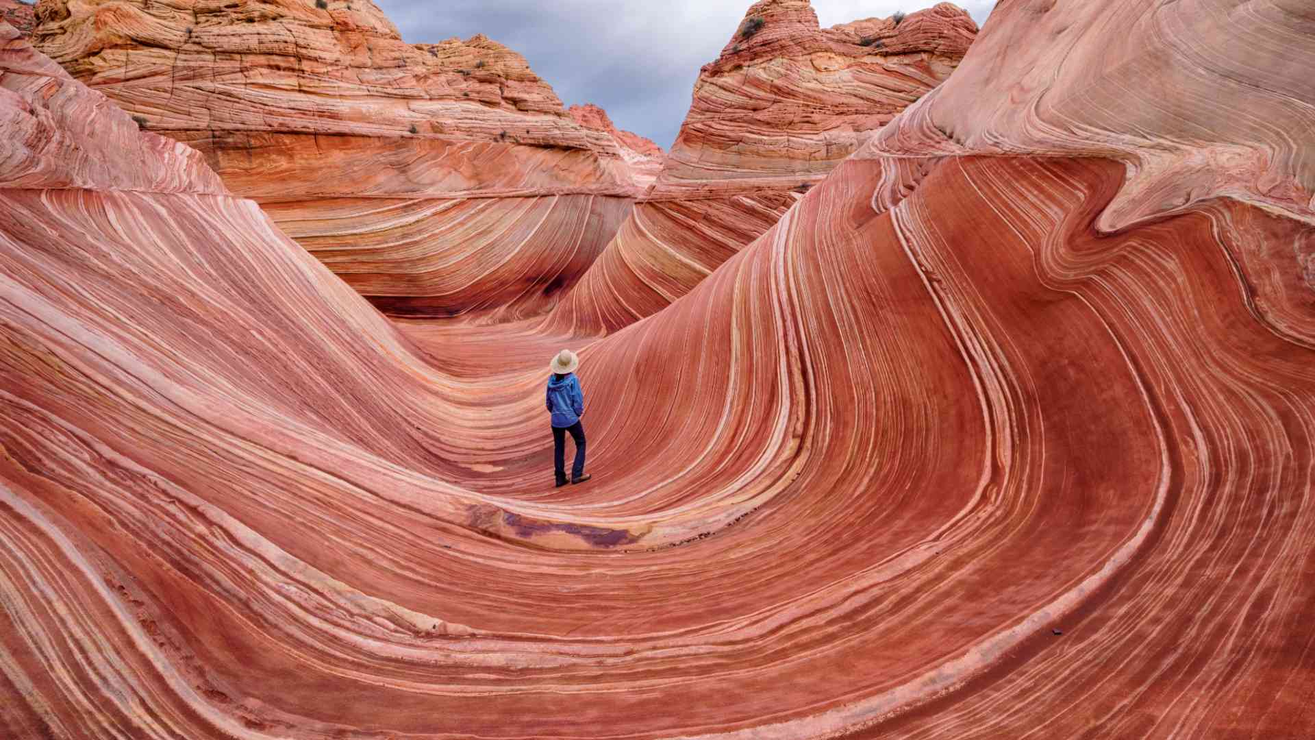 The Wave