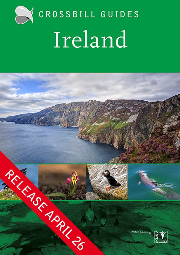 Ireland