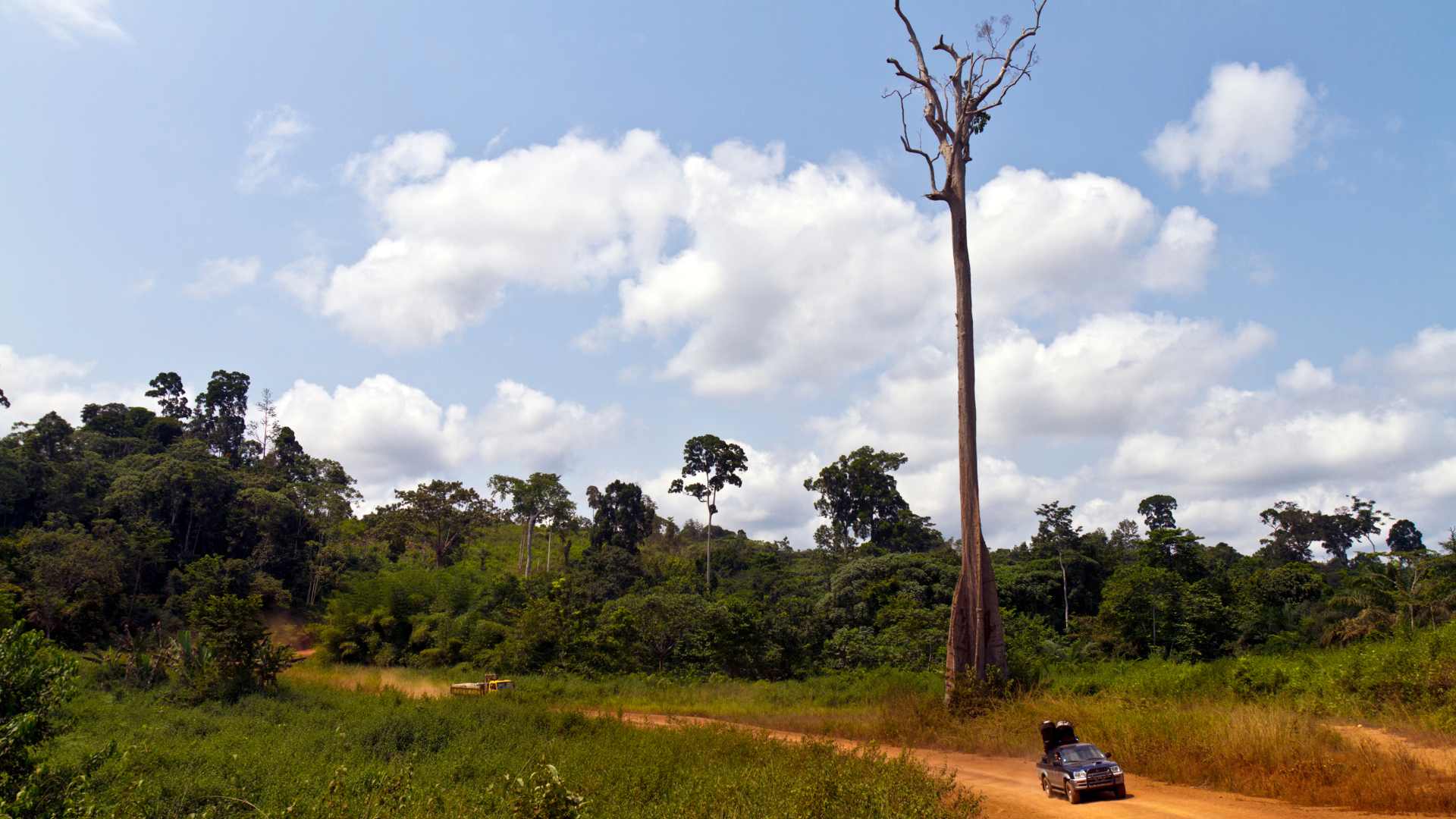 Lopé National Park, Gabon